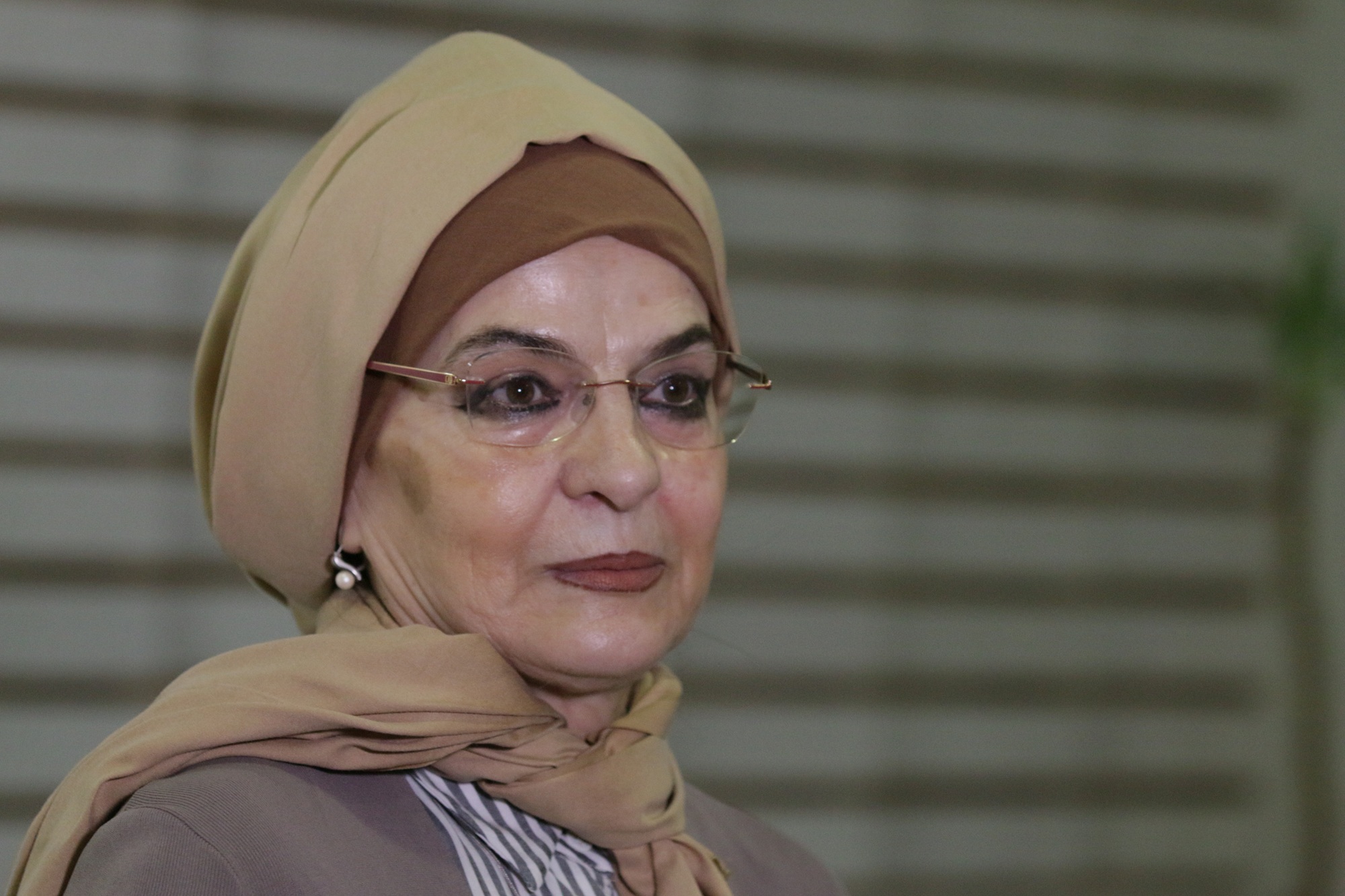 Prof. dr. Fahira Fejzić